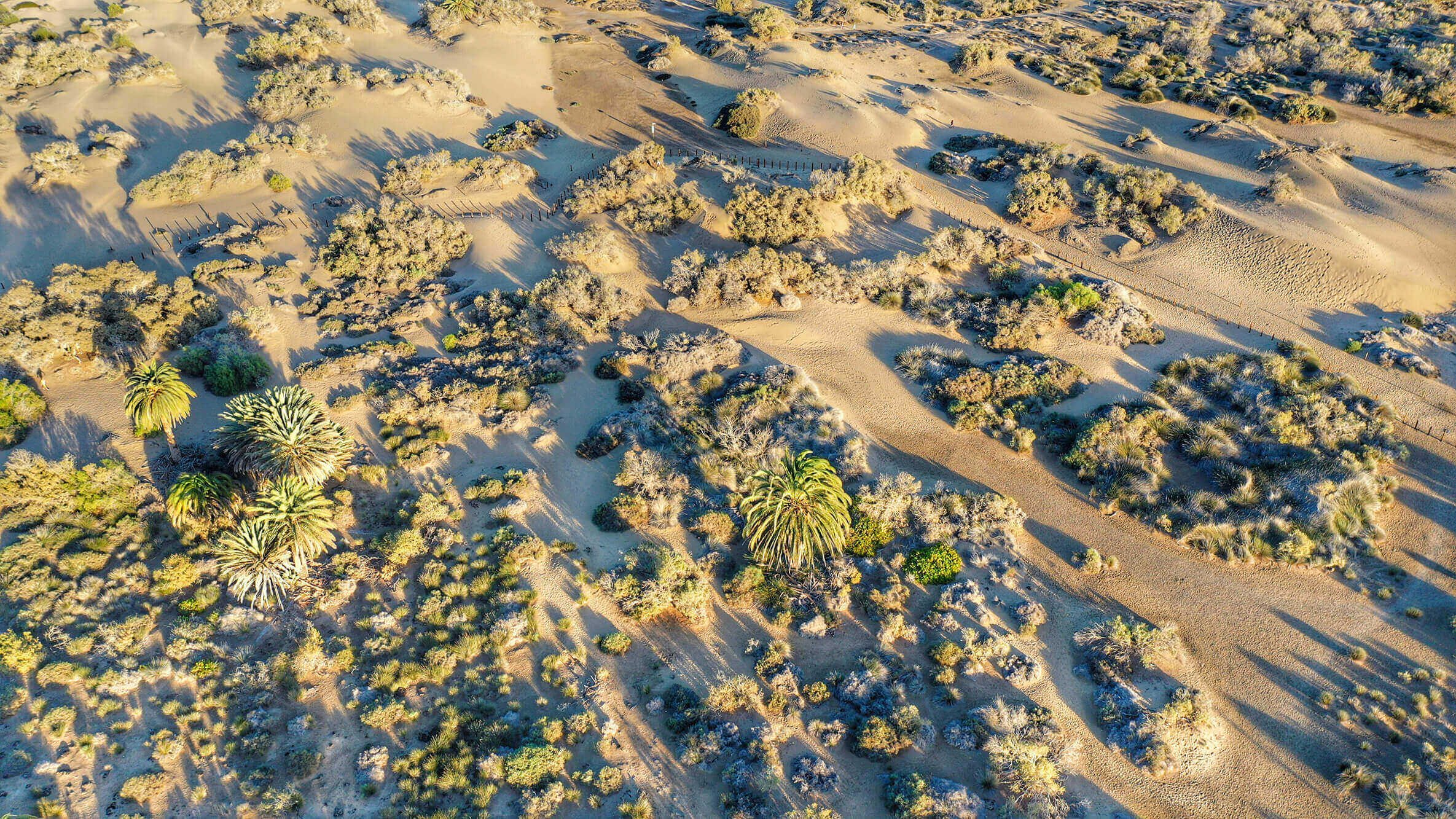 Gran-Canaria-Teil-2-10